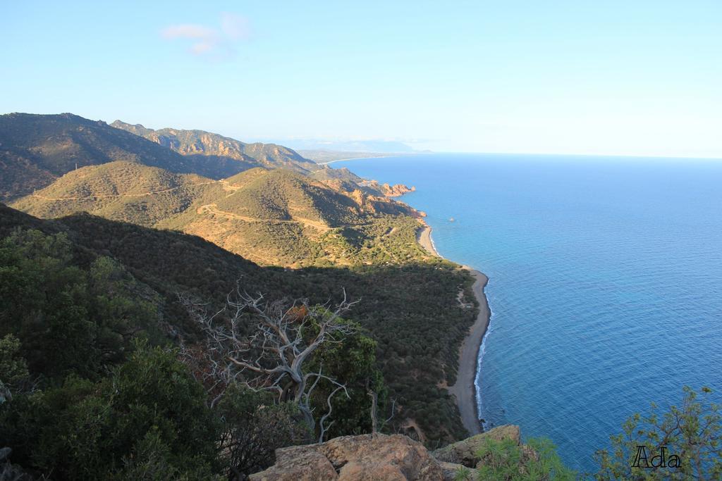 Villaggio Camping Tesonis Beach Tertenìa Εξωτερικό φωτογραφία