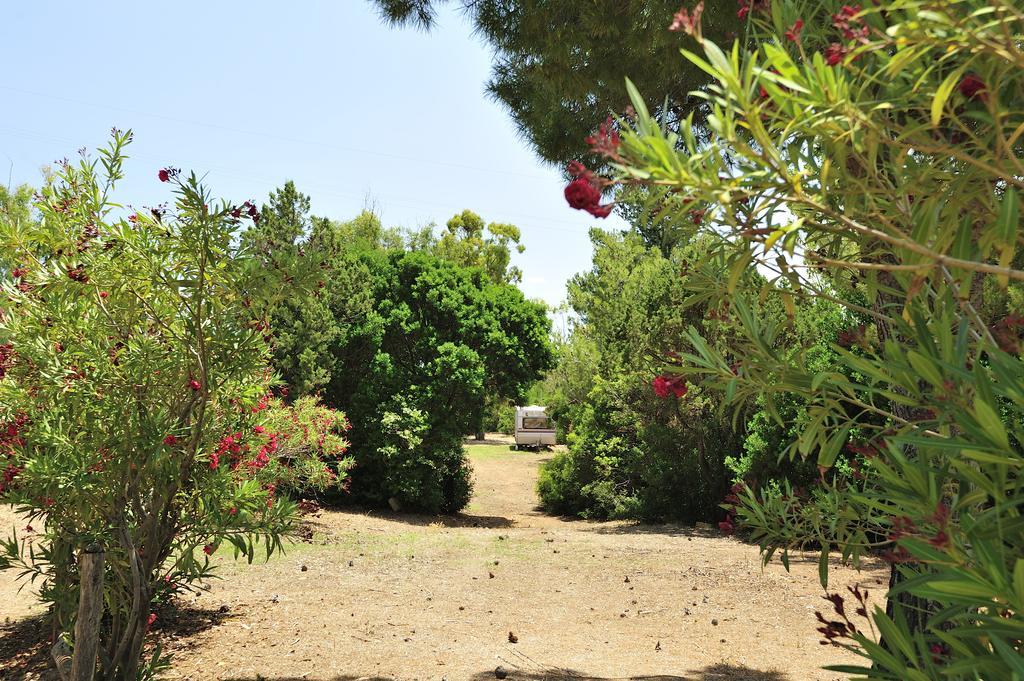 Villaggio Camping Tesonis Beach Tertenìa Εξωτερικό φωτογραφία